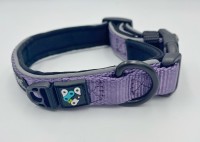 Bark and Ride Trail Collar Heather XS